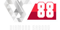 DS88-COLOR.png